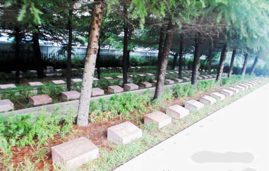 c0f447d67f474113a5e80b5550b65e32.png c0f447d67f474113a5e80b5550b65e32.png