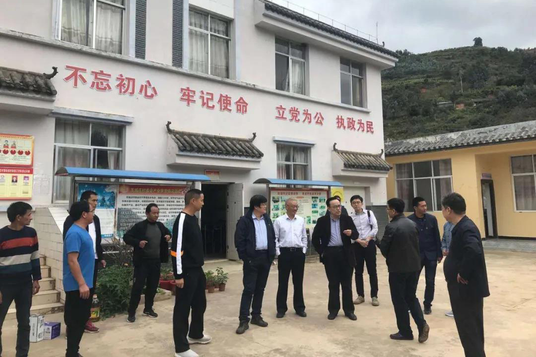 7b8fdd2f3b254afb814e12fc0664f82e.jpg 7b8fdd2f3b254afb814e12fc0664f82e.jpg