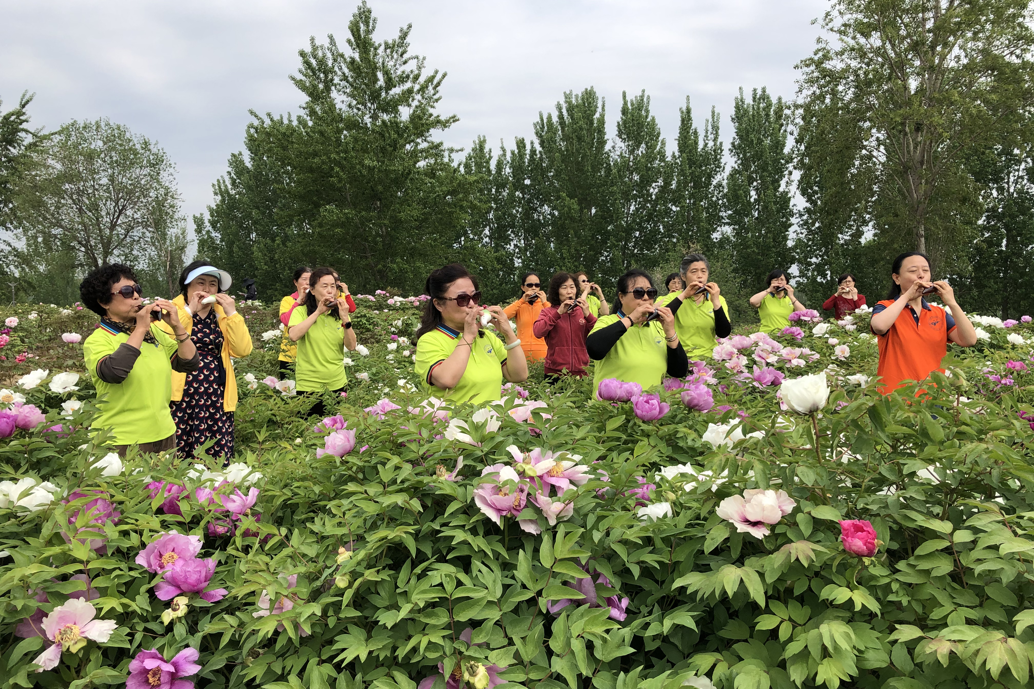 fe4e924827b346c19809f0ab7a6e6e15.jpg fe4e924827b346c19809f0ab7a6e6e15.jpg